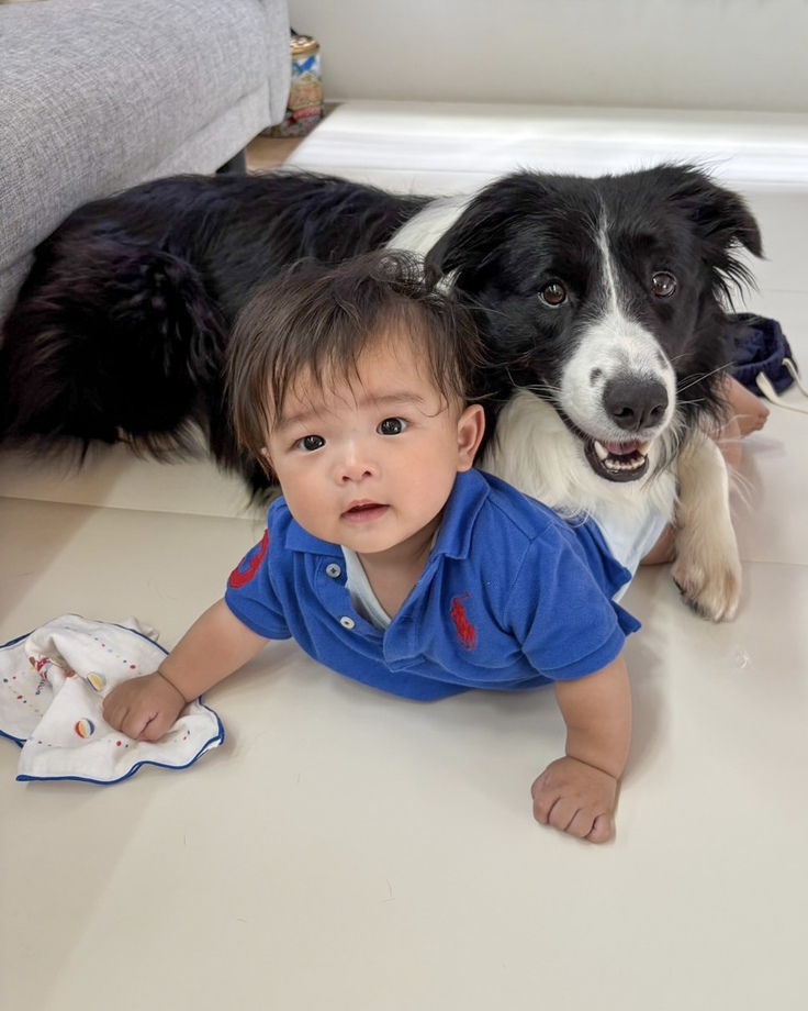 現在のおもちとひなた