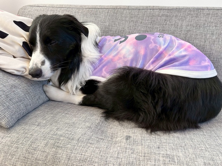 10時間ぶりの一休み