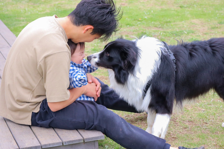 ひなたと戯れるおもち