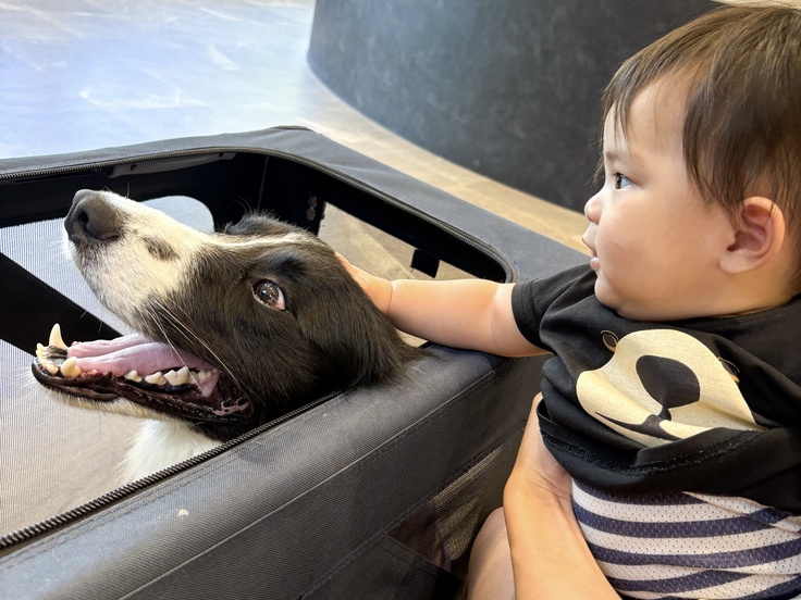 おもちを心配するひなた