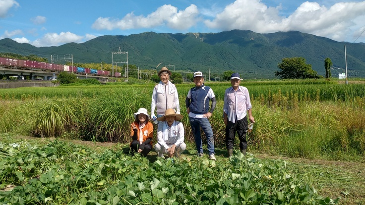 いもとまちとのサツマイモ畑は比良山系のふもとにあります。