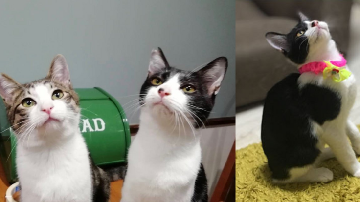 活動報告サムネのコピー (1200 x 675 px)-5.png