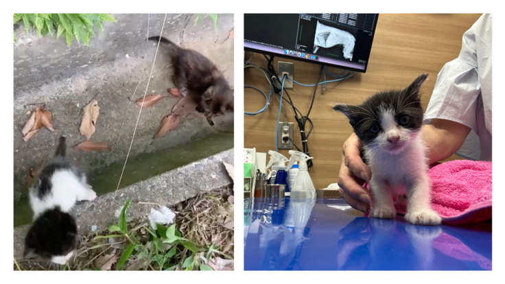 活動報告サムネのコピー (1200 x 675 px)-6.png