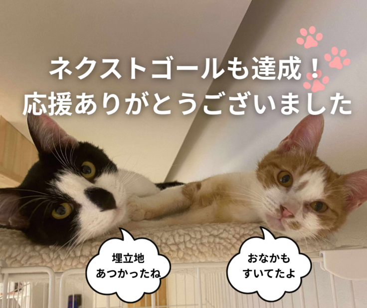 見出しを追加 (1).png