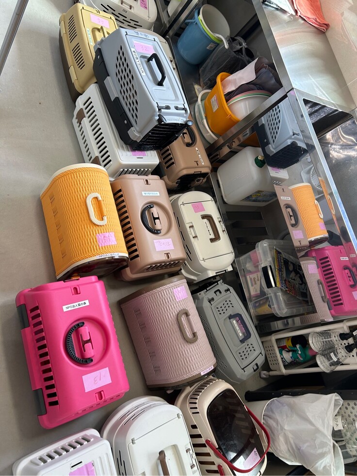 受入れ時の様子