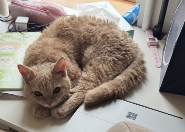 まめおの写真①