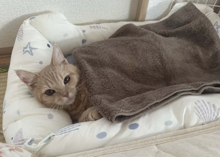 まめおの写真②