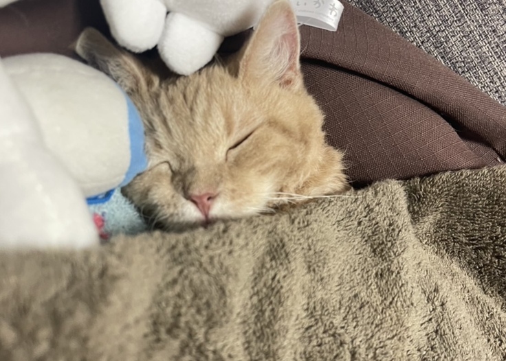 まめおの写真③