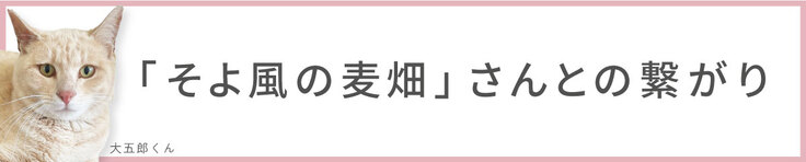 そよ風の麦畑さんとの繋がり