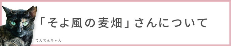 「そよ風の麦畑」さんについて