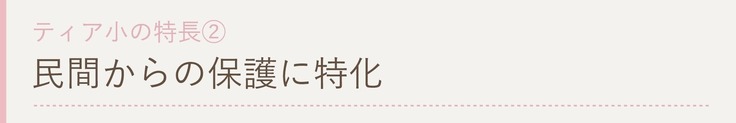 民間からの保護に特化