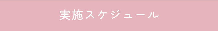 実施スケジュール
