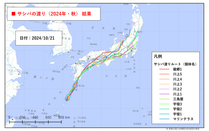 2024年奄美大島北部で装着した11個体の内、9個体の秋の渡り