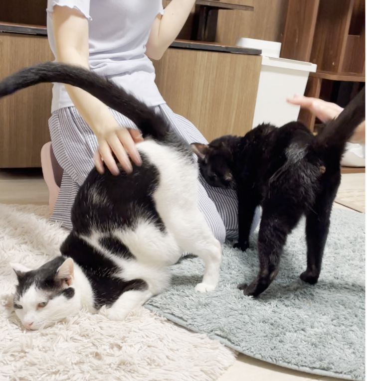 スクリーンショット 2022-09-20 15.01.45.png