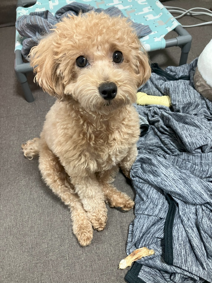 座り方がおかしいルル