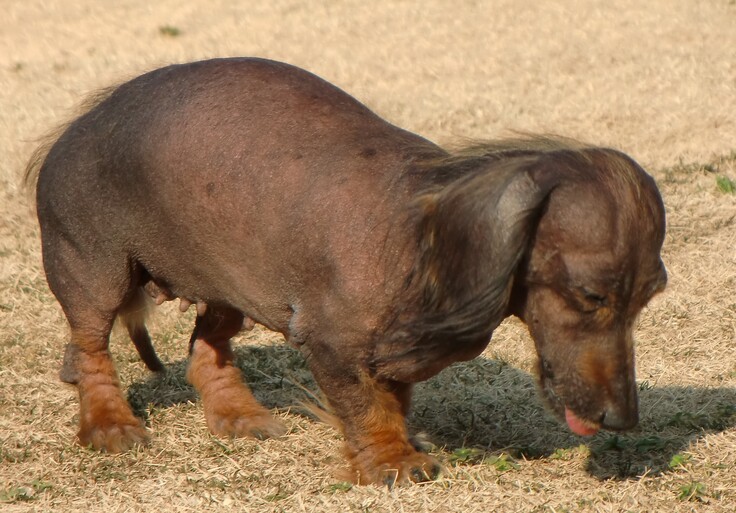 CIMG4318 - コピー.JPG