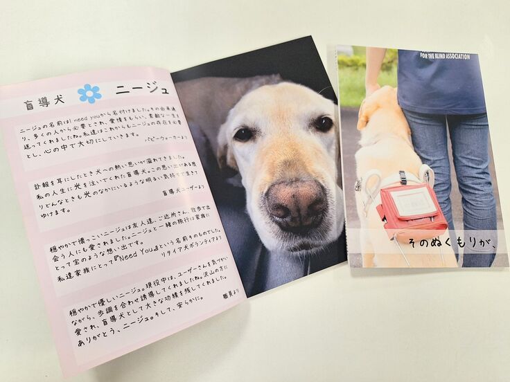 昨年度お送りさせていただいた冊子「そのぬくもりが、」の写真