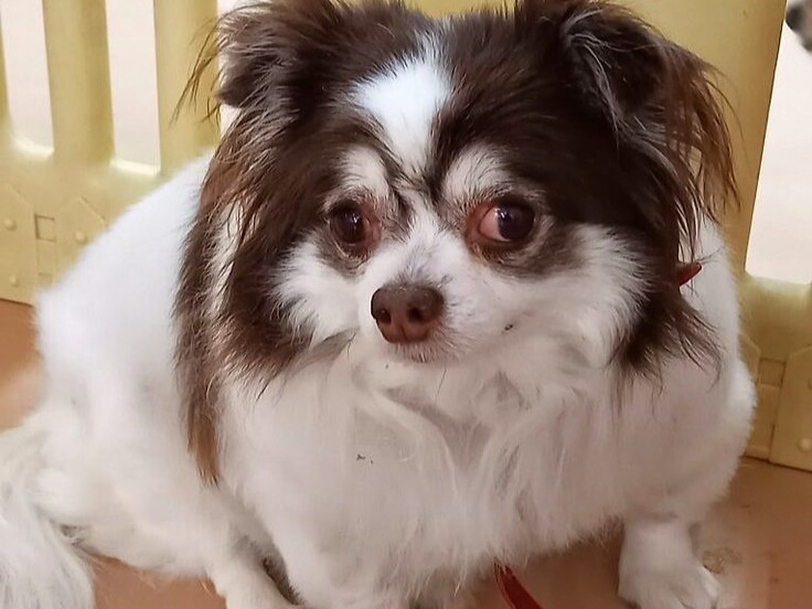 20210118_131434 - コピー - コピー.jpg