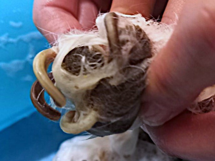 20210116_161334 - コピー.jpg