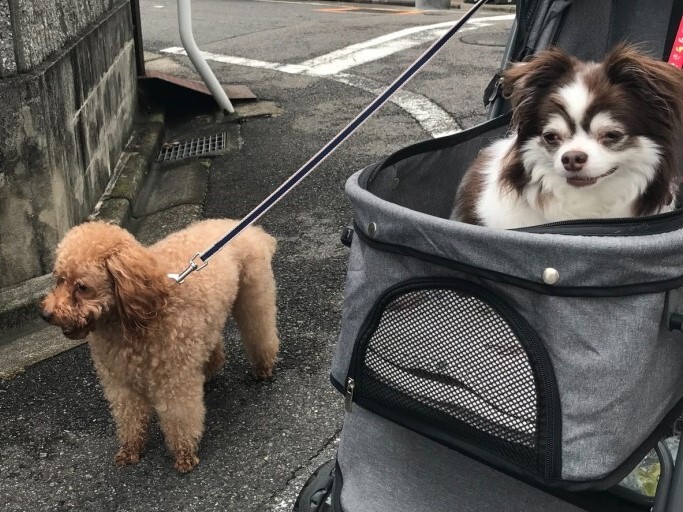 1624676838857 - コピー.jpg