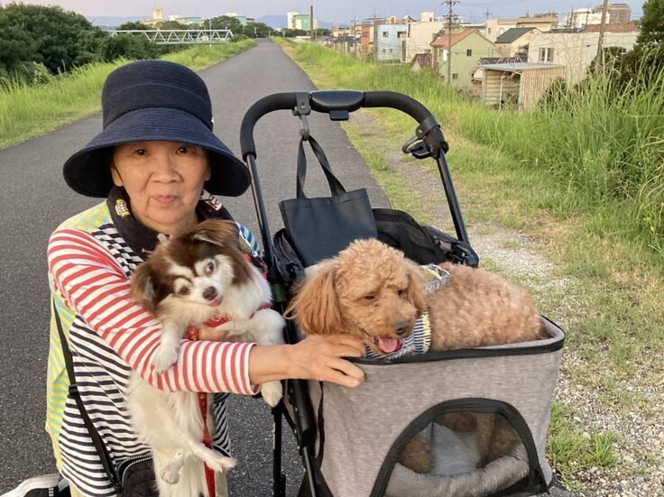 84945 - コピー.jpg