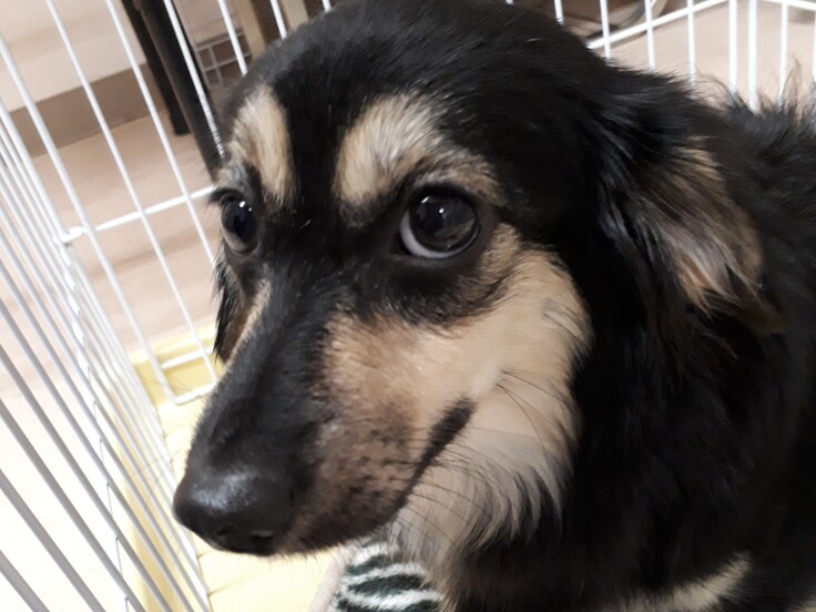 20181114_185719 - コピー.jpg