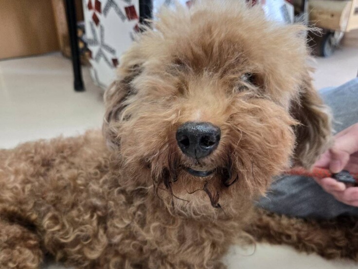 85170_0 - コピー.jpg