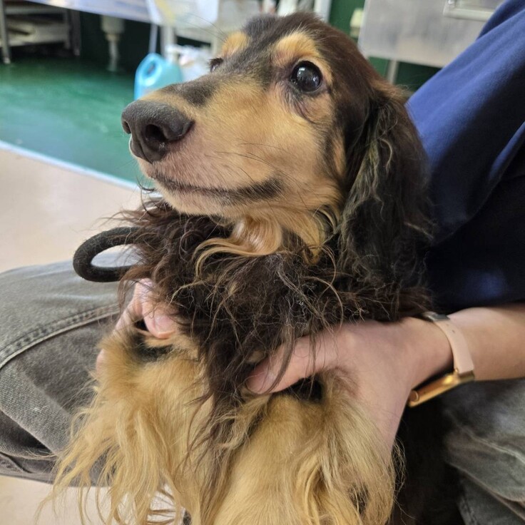 85177_0 - コピー.jpg