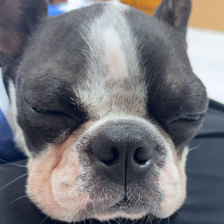 85094_0 - コピー.jpg