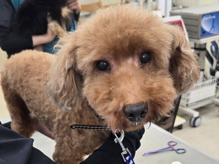 535635103_1450789736268004_3636702469439524104_n - コピー.jpg