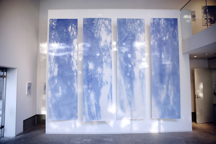 「呼吸する影-被爆樹木のフォトグラム」展＠gallery-G（広島）