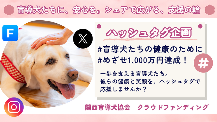 「盲導犬たちに、安心を。シェアで広がる支援の輪。」と書かれたハッシュタグ企画の宣伝用画像