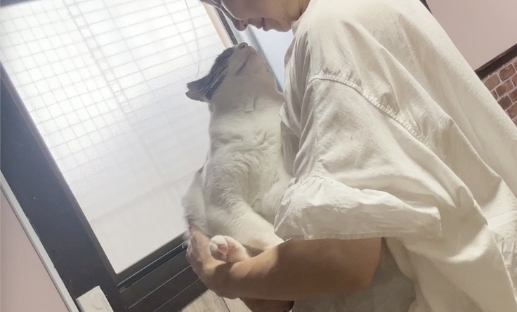 スクリーンショット 2025-08-21 17.33.29.jpeg