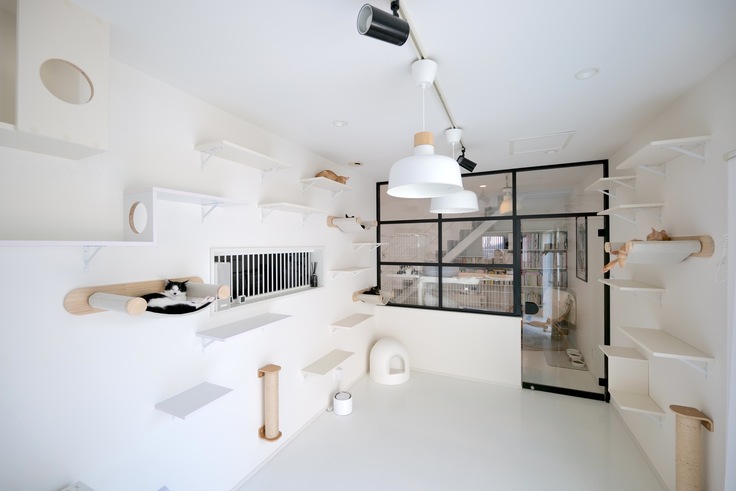 大工さんと一緒に考えたキャットステップ