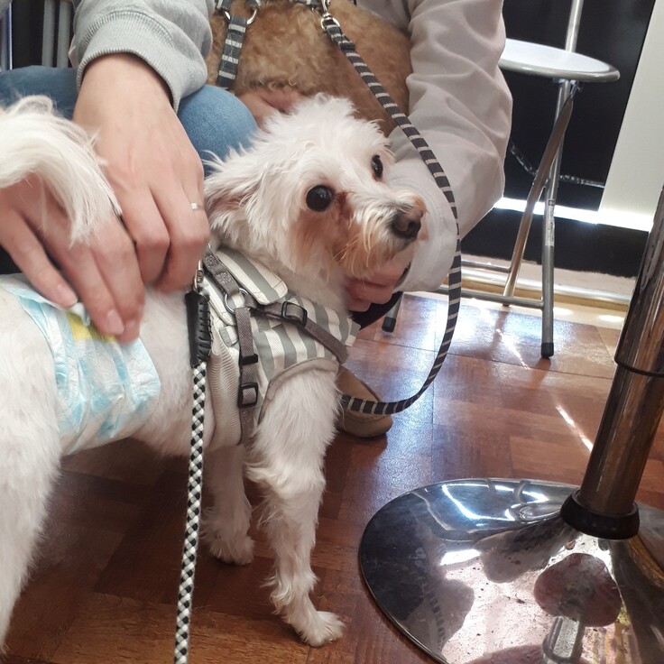 20201223_114252 - コピー.jpg