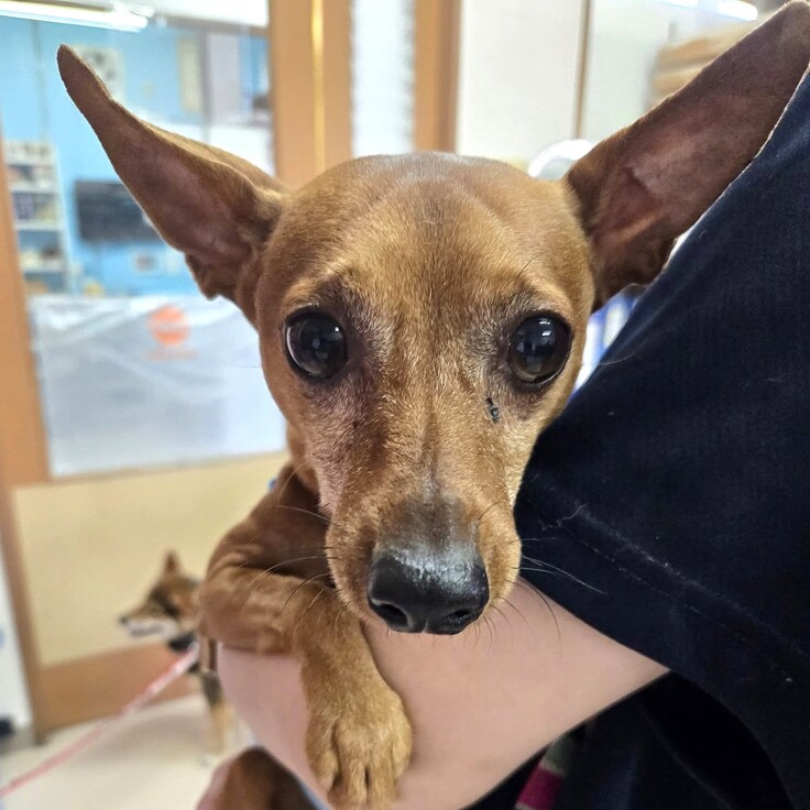 538203517_1455025249177786_312052242829237267_n - コピー.jpg