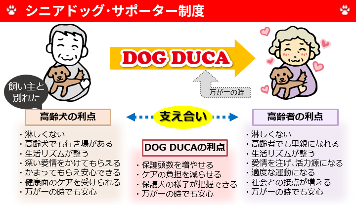 seniordog_supporter2.png