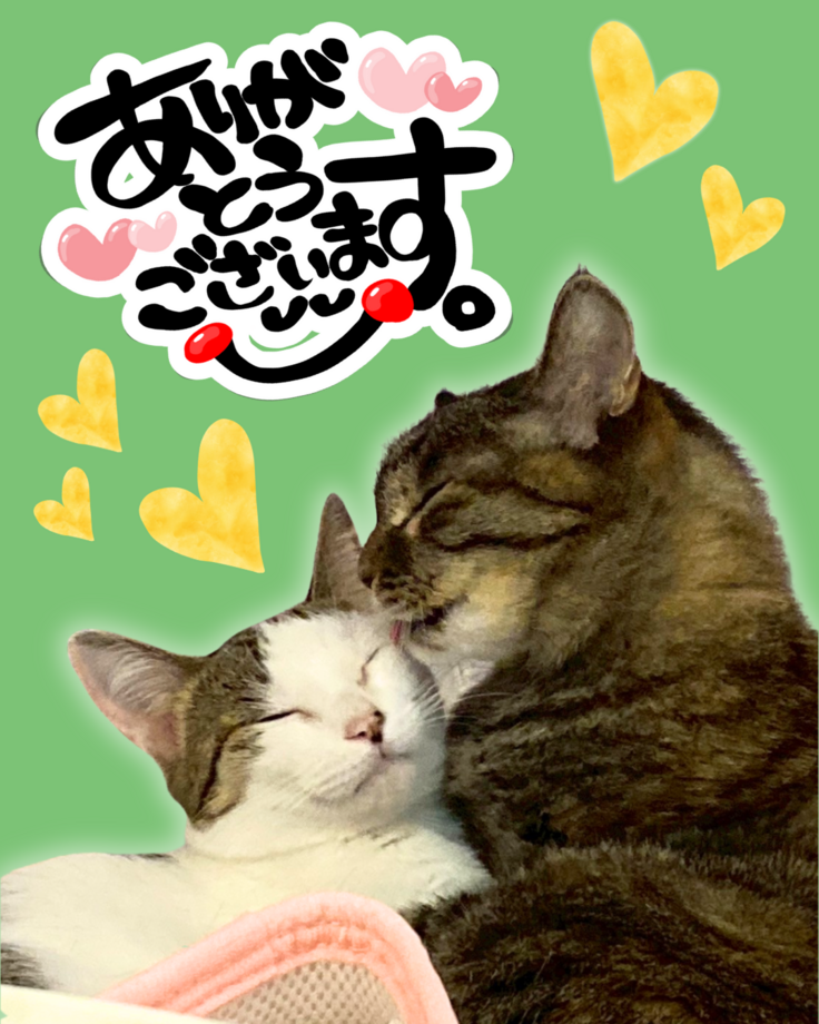 名称未設定のデザイン (1).png