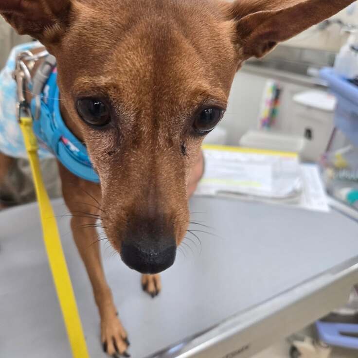 538696878_18285329707283422_5135024585176871978_n - コピー.jpg