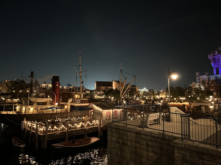 装飾照明ブランド様とお取引開始後に訪れた東京ディズニーシー