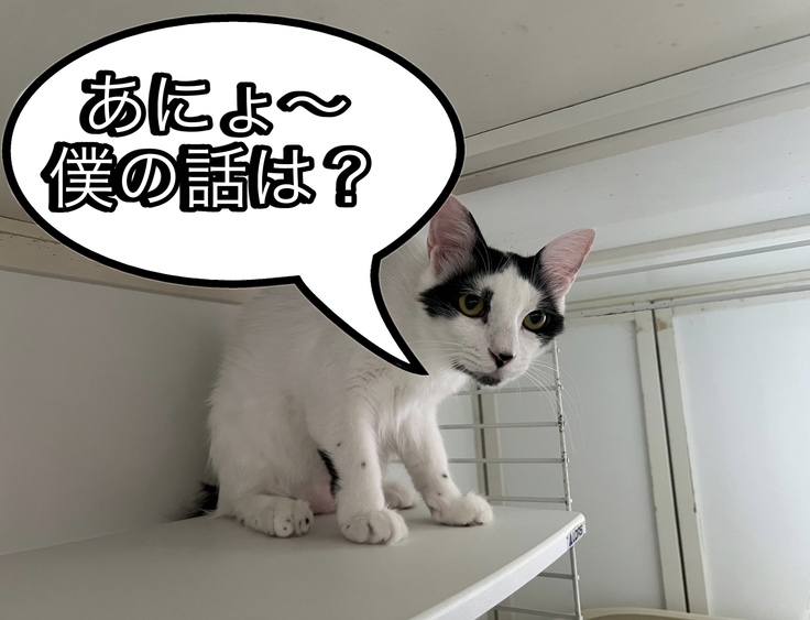 早く紹介してほしい高菜くん