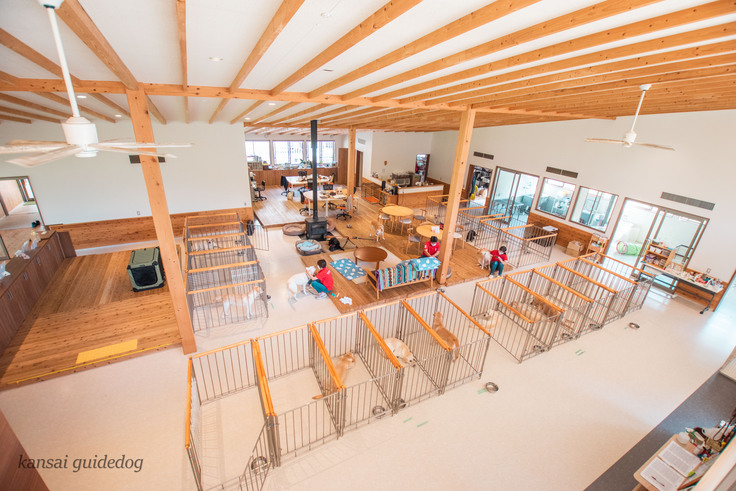 木香テラスの２階から撮影した木香テラス内の様子