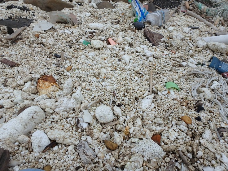 マイクロプラスチック化したごみ