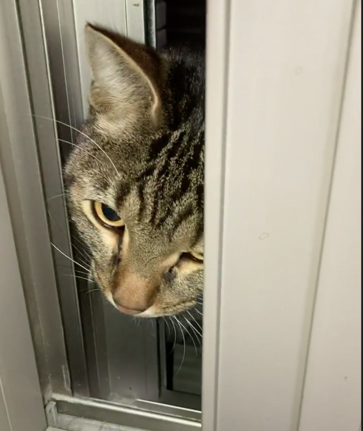 スクリーンショット 2024-12-30 18.05.47.png