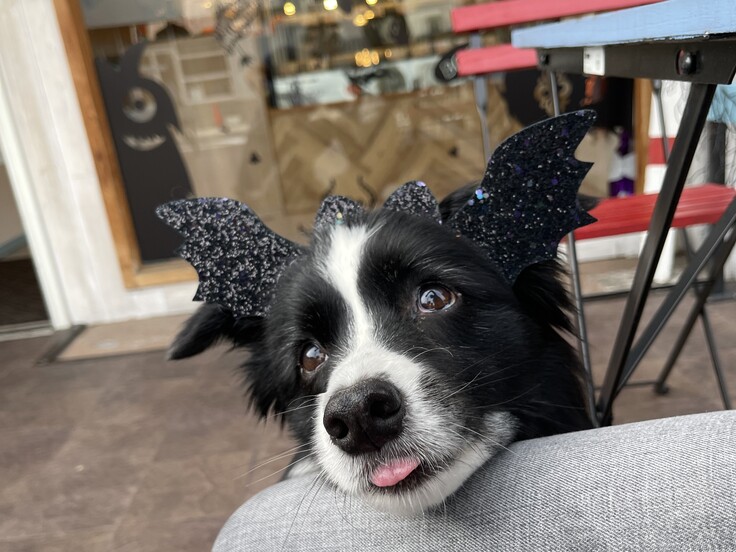 IMG_4979 - コピー.JPG