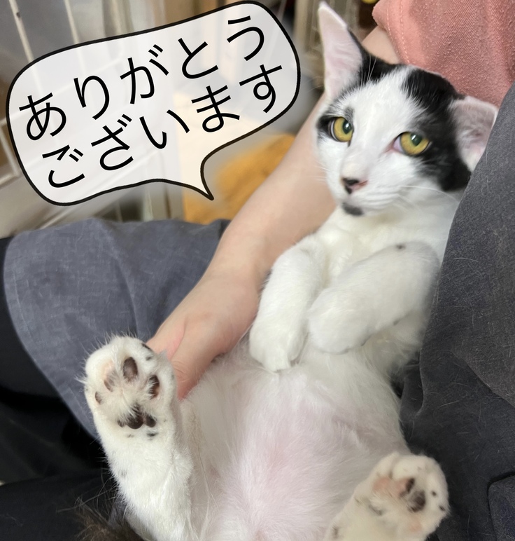 高菜からもお礼申し上げます。