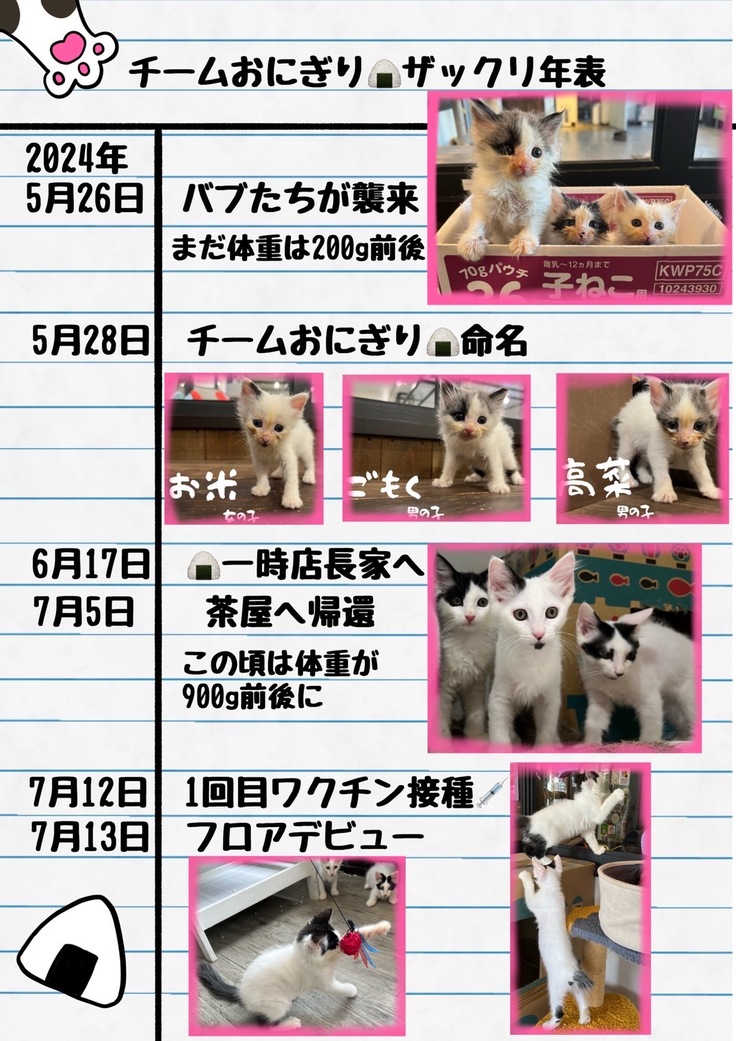 チームおにぎりの超ザックリ年表です。