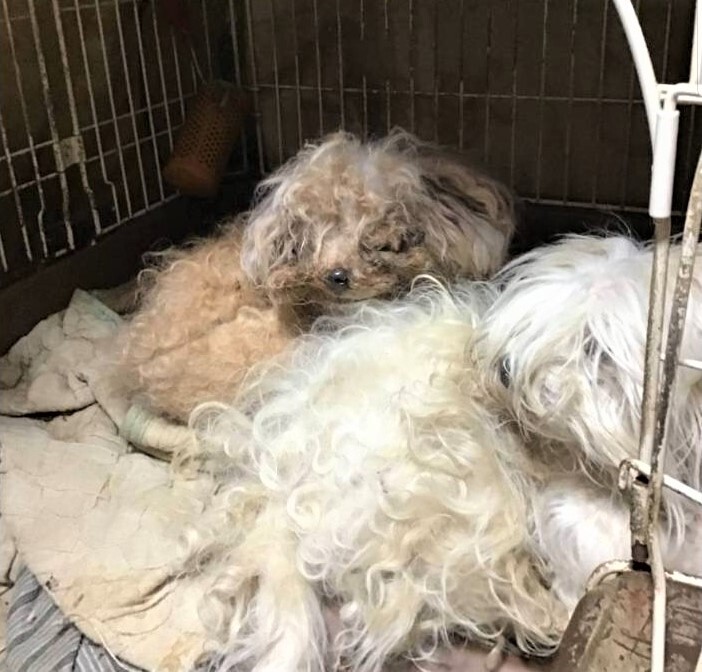 IMG_8303 - コピー.JPG