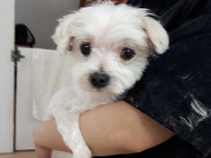 20200123_185852 - コピー.jpg