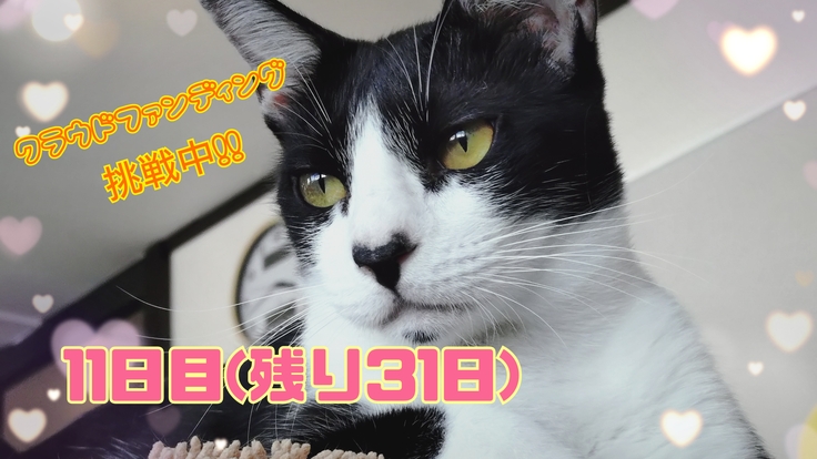 今日のトップはイケメンちった君